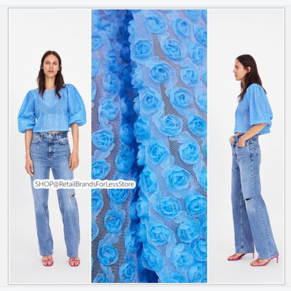 Zara Tops Zara Cornflower Blue Semisheer Mesh Organza 3d Rose Tulle Blouse Poshmark